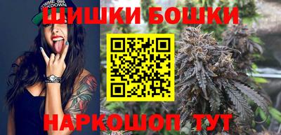 МДПВ Можга